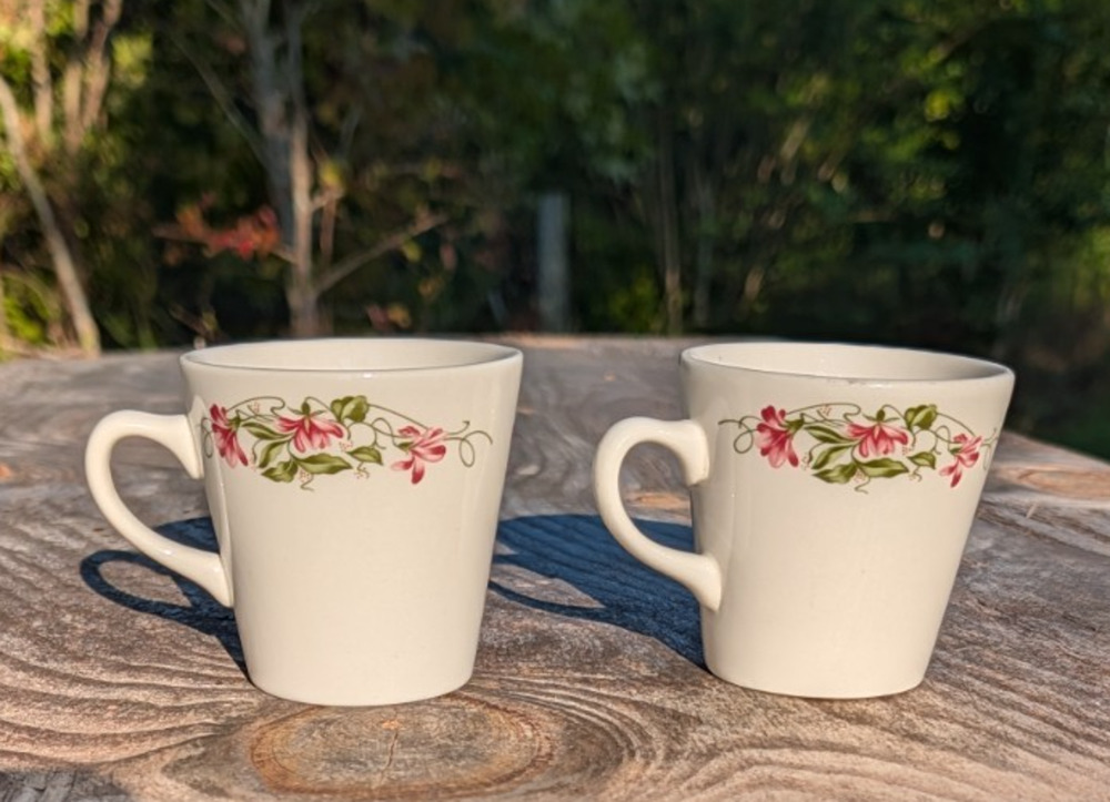 Homer Laughlin Pink Violets Cups Set of 2 Floral Coffee Tea Flowers